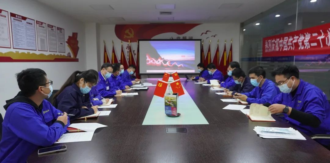 云顶国际版党委深入学习党的二十大精神