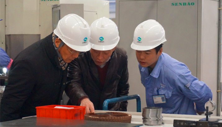 安徽hth手机app下载一期项目顺利通过验收