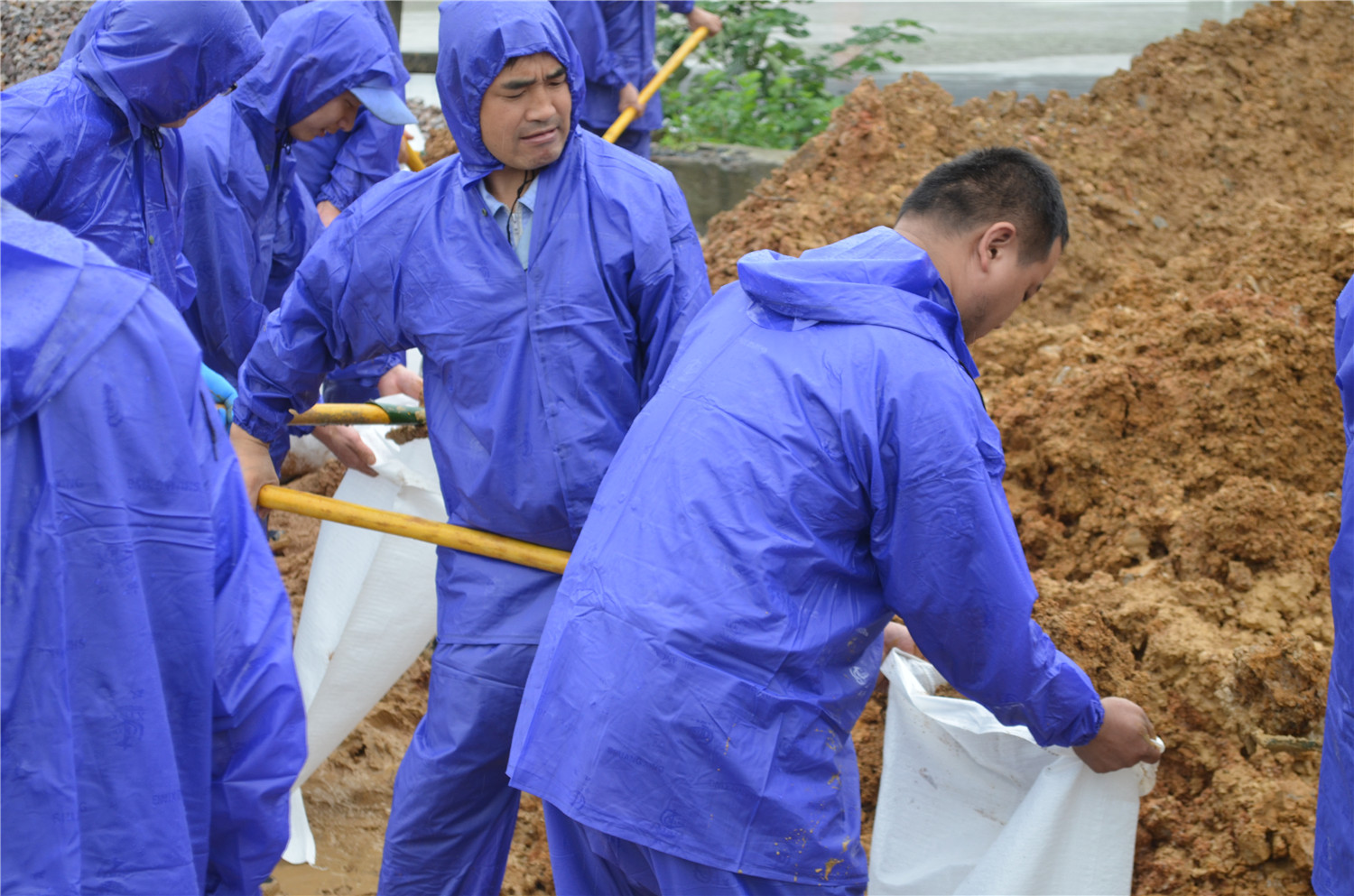 安徽hth手机app下载出力协助林头镇固堤防汛