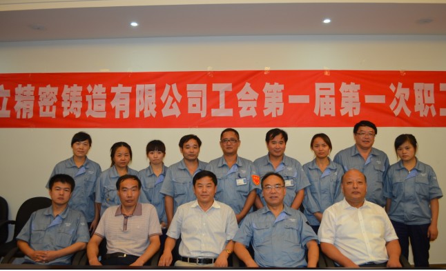 安徽hth手机app下载第一届第一次职工代表大会顺利召开